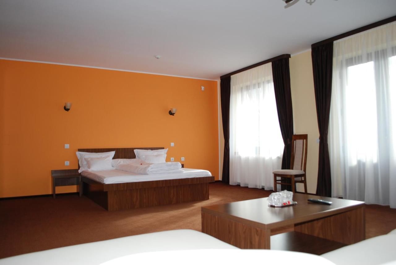 Отели типа «постель и завтрак» Vila Aris Яссы-4