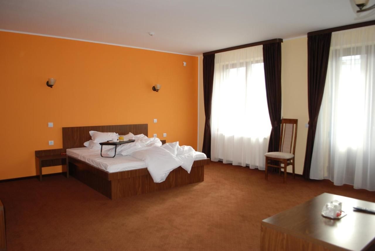 Отели типа «постель и завтрак» Vila Aris Яссы-12