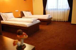 Отели типа «постель и завтрак» Vila Aris Яссы Улучшенный двухместный номер с 2 отдельными кроватями-1