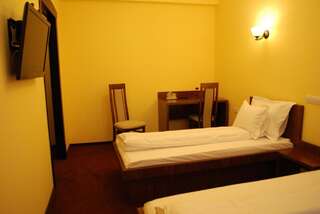 Отели типа «постель и завтрак» Vila Aris Яссы Стандартный двухместный номер с 2 отдельными кроватями-2